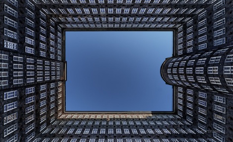 Looking Up (c) by Martin Zeile